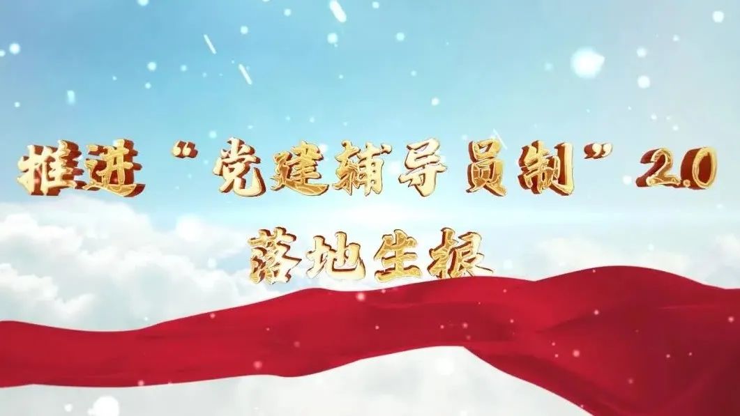  党建经营融合十佳案例④ | 西南水泥——“领导员造”+“进建型组织”，让党建成为看得见的“出产力” 